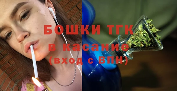 ГАЛЛЮЦИНОГЕННЫЕ ГРИБЫ Вяземский