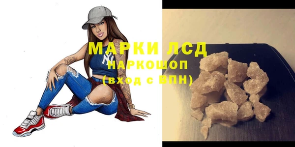 ГАЛЛЮЦИНОГЕННЫЕ ГРИБЫ Вяземский
