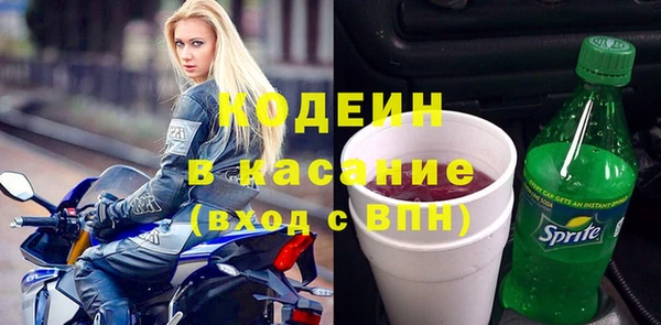 ГАЛЛЮЦИНОГЕННЫЕ ГРИБЫ Вяземский
