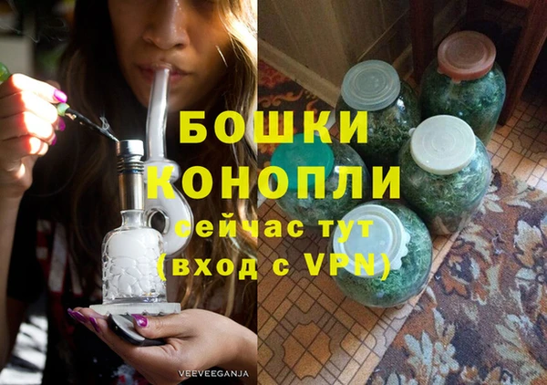 ГАЛЛЮЦИНОГЕННЫЕ ГРИБЫ Вяземский