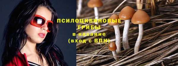 Альфа ПВП Вязьма