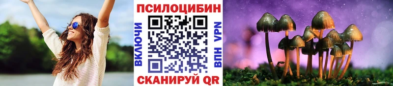 Купить закладки  Карабаново  Галлюциногенные грибы Magic Shrooms 